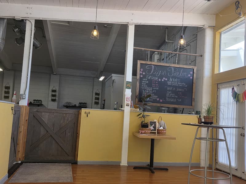 Inside Pups Parlor: the reception area with its barn-style gate, yellow walls and counter